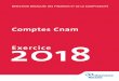 Comptes Cnam Exercice 2 0 1 8 - ameli.fr
