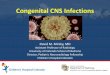 Congenital CNS Infections