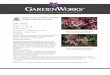GardenWorks Origami Rose and White Columbine