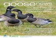 ISSUE No. 14 | AUTUMN 2015 Brent Goose expedition to the 