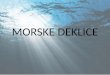 MORSKE DEKLICE - dijaski.net