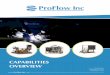CAPABILITIES OVERVIEW - ProFlow, Inc