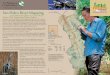 FALL 08 San Pedro River Mapping - Nature