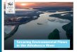 Securing Environmental Flows in the Athabasca River