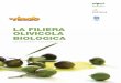 LA FILIERA OLIVICOLA BIOLOGICA