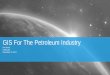 GIS For The Petroleum Industry