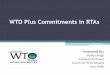 WTO Plus Commitments in RTAs