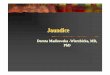 Jaundice DMW PDF - UMP