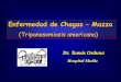 Enfermedad de Chagas Mazza - fmed.uba.ar