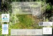 Greater Cambridge Chalk Streams Project Report - Cambridge 