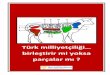 Türk milliyetçiliği… birleştirir mi yoksa parçalar mı