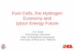 Fuel Cells, the Hydrogen Economy and (y)our Energy Future