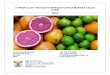 A PROFILE OF THE SOUTH AFRICAN CITRUS MARKET VALUE …