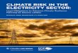 CLIMATE RISK IN THE ELECTRICITY SECTOR