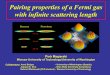 Pairing properties of a Fermi gas with infinite scattering 