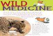 WILD MEDICINE - Cricket Media