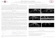 High-resolution Larynx Imaging - Stanford University