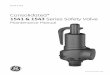 Consolidated* 1541 & 1543 Series Safety Valve