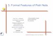 3. Formal Features of Petri Nets