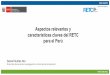 Aspectos relevantes y características claves del RETC para 