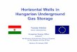 Horizontal Wells in Hungarian Underground Gas Storage