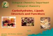 Carbohydrates, Lipads Structure and Functions