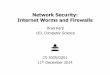 Network Security: Internet Worms and Firewalls