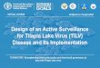 Design of an Active Surveillance for Tilapia Lake Virus 