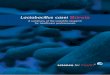 Lactobacillus casei Shirota - Yakult Website