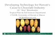 Develop Technology cacao to chocolate
