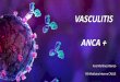 VASCULITIS ANCA - ICSCYL