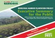 Bamboo Plantation Project | EXECUTIVE SUMMARY FOR THE 