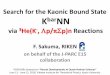 Search for the Kaonic Bound State K NN - Menu