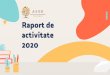 activitate Raport de 2020