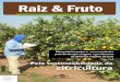 Raiz & Fruto - Embrapa