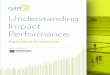 Understanding Impact Performance Agriculture Investments