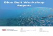 [Title Calibri 55 Blue Belt Workshop - GOV.UK