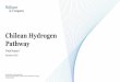 Chilean Hydrogen Pathway - energia.gob.cl