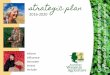 AWiA Strategic Plan 2016-2020
