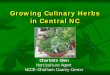 Growing Culinary Herbs in Central NC