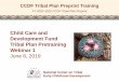 Child Care and Development Fund Tribal Plan Training 