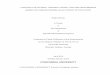 PROPOSED THESIS OUTLINE - Concordia University