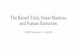 The Kernel Trick, Gram Matrices, and Feature Extraction