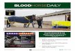 WEDNESDAY, MAY 12, 2021 BLOODHORSE.COM/DAILY