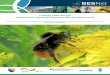 Trialogu i BES-Net për polenizuesit, sigurinë ushqimore 