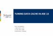 ASE Data Cache Internals & Tuning - SAP