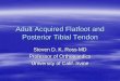 Adult Acquired Flatfoot and Posterior Tibial Tendon