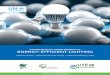 Accelerating the Global Adoption of ENERGY-EFFICIENT