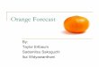 Orange Forecast - University of California, Berkeley