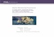 Marine Monitoring Framework Lundy SAC: Subtidal Reef 